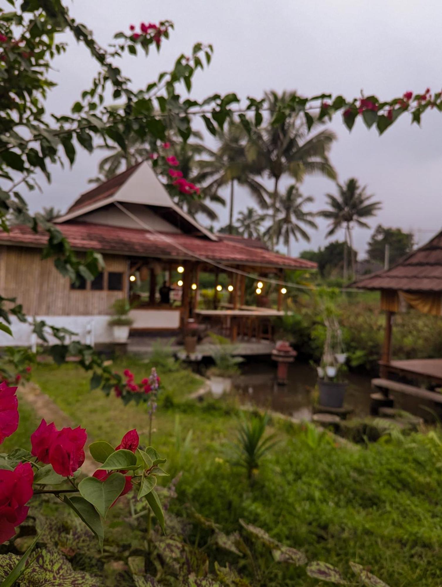 Linkgreen Homestay Lombok 테테바투 외부 사진