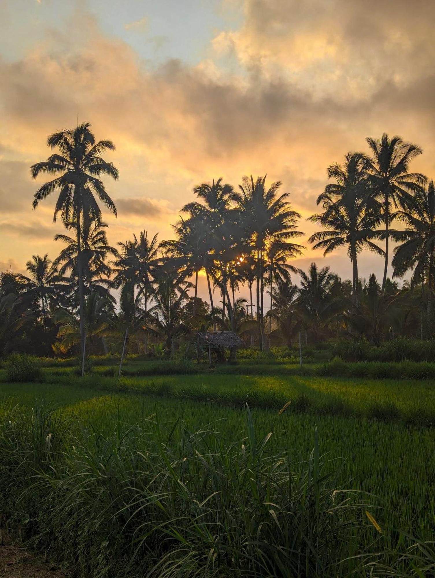 Linkgreen Homestay Lombok 테테바투 외부 사진